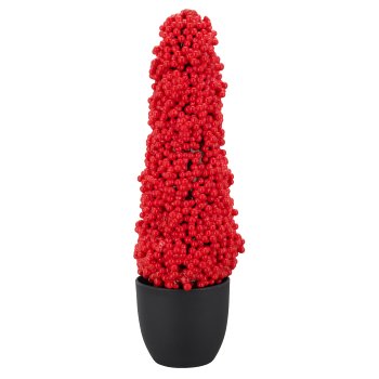 Berry pyramid, 26cm, red, in black plastic pot 6x6x6.5cm