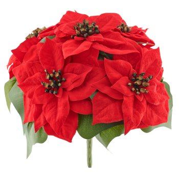 Poinsettia x5, 32cm, rot