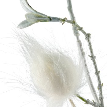 Dekozweig, 76cm, weiß