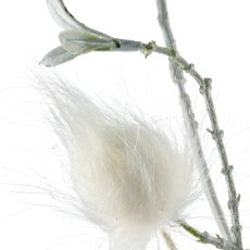 Dekozweig, 76cm, weiß