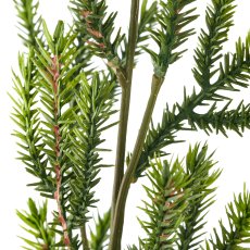 Mini spruce branch, 47cm, green