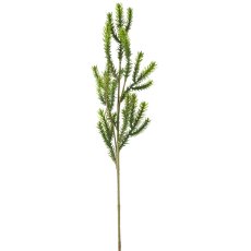 Minifichtenzweig, 47cm, grün