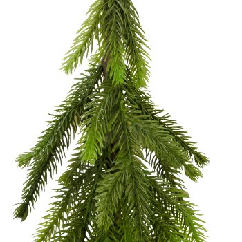 Fir tree, 45cm, green, in black plastic pot 9x9x9cm