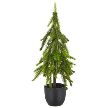 Fir tree, 45cm, green, in black plastic pot 9x9x9cm
