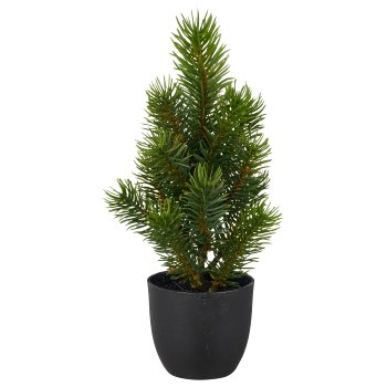 Fir tree, 25cm, green, in black plastic pot 7x7x7cm