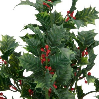 Ilex, 35cm, green, in black plastic pot 12x12x10cm