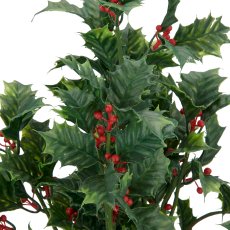 Ilex, 35cm, green, in black plastic pot 12x12x10cm
