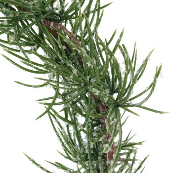 Zedernring geeist, 20cm, grün