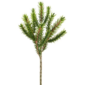 Blaufichtenzweig, 26cm, grau