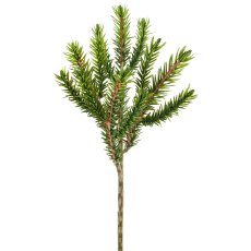 Blaufichtenzweig, 26cm, grau