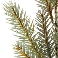 Blaufichtenzweig, 49cm, grau