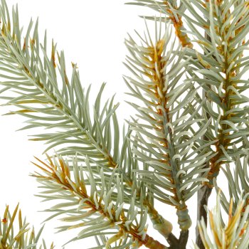 Blue spruce branch, 75cm, grey