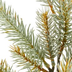 Blue spruce branch, 75cm, grey