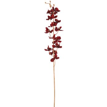 Orchid, 87cm, red