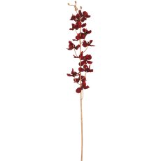 Orchid, 87cm, red