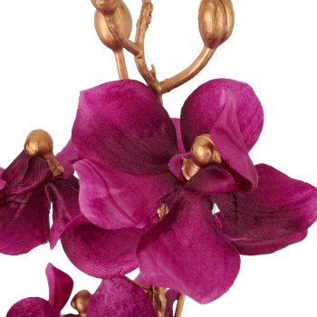 Orchid, 87cm, lilac