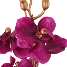 Orchid, 87cm, lilac