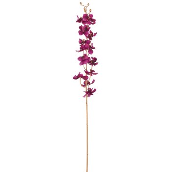Orchid, 87cm, lilac