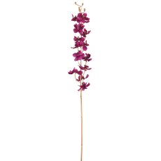 Orchid, 87cm, lilac