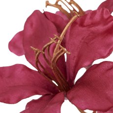 Azaleenzweig, 76cm, orchidee