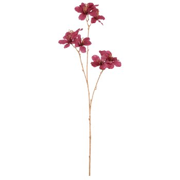Azaleenzweig, 76cm, orchidee