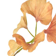 Gingkozweig, 81cm, orange