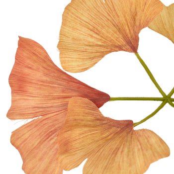 Gingko branch, 126cm, orange