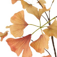 Gingko branch, 190cm, orange