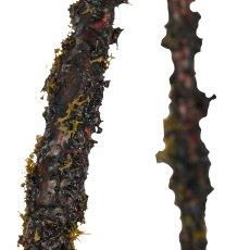Hängezweig mit Flechten, 1/Poly, 136cm, dunkelbraun