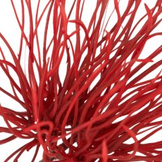Distelzweig x3, 97cm, rot
