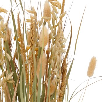 Gras mit Ähren, 64cm, natur, im schwarzen Kunststofftopf 11x11x10,5cm