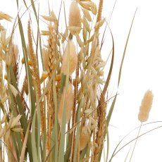 Gras mit Ähren, 64cm, natur, im schwarzen Kunststofftopf 11x11x10,5cm