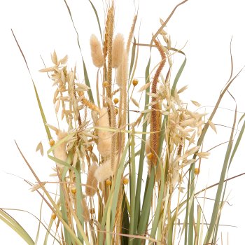 Gras mit Ähren, 83cm, natur, im schwarzen Kunststofftopf 14x14x13cm