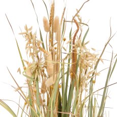 Gras mit Ähren, 83cm, natur, im schwarzen Kunststofftopf 14x14x13cm