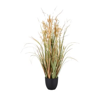 Gras mit Ähren, 83cm, natur, im schwarzen Kunststofftopf 14x14x13cm