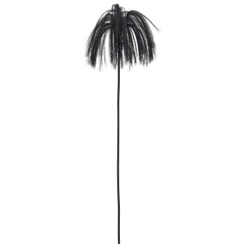 Stipagras, 80cm, schwarz