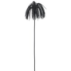 Stipagras, 80cm, schwarz