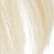 Stipagras, 80cm, weiß