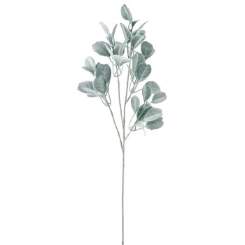 Salvienzweig, 71cm, grau