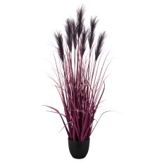 Pampas grass x7, 125cm, lilac, in black plastic pot 18x18x16.5cm