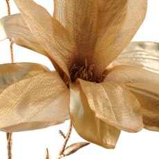 Magnolia, 86cm, gold
