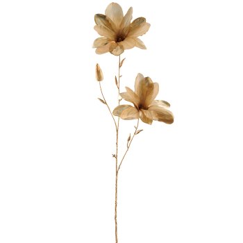 Magnolia, 86cm, gold