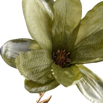 Magnolia, 86cm, green