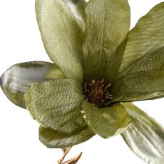Magnolia, 86cm, green
