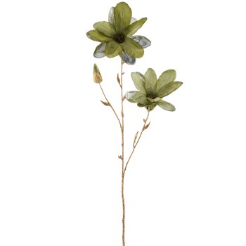 Magnolia, 86cm, green