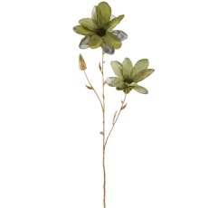 Magnolia, 86cm, green