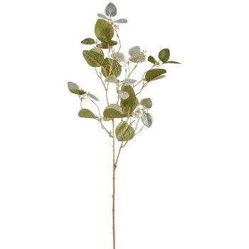 Eukalyptuszweig, 76cm, grün