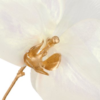 Phalaenopsis, 79cm, weiß