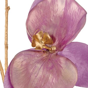 Phalaenopsis, 79cm, lila