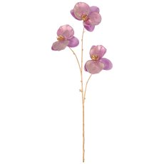 Phalaenopsis, 79cm, lila